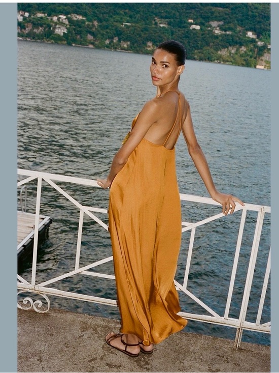 NWT Zara Satin Effect Midi Dress with Gold floral appliqué in Burnt Orange Sz M - Picture 4 of 16